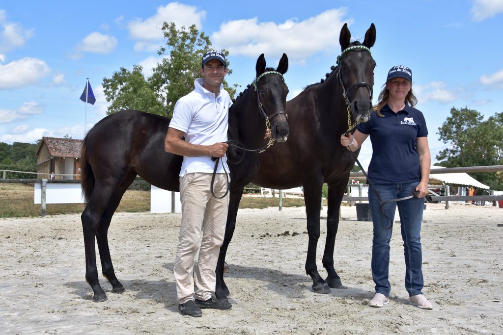 Meilleur couple jument foal 6