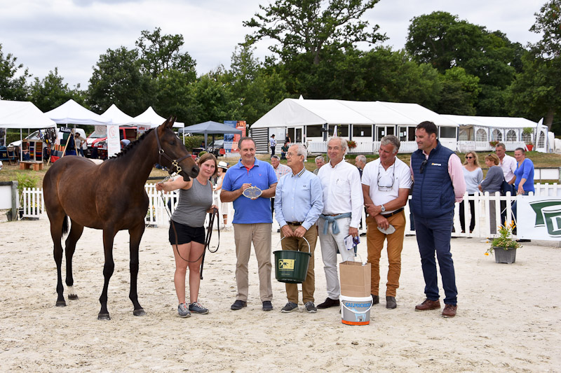 86 Serotonine gagnante femelle yearling