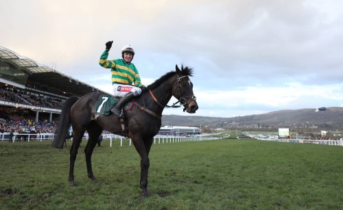 Le Prézien vainqueur à Cheltenham en 2018