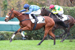 Alcyone Rouge 2025 @ScoopDyga