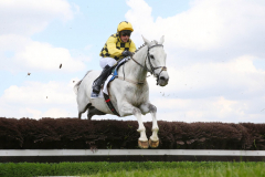 Asterion Forlonge 2024 @ScoopDyga