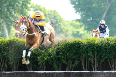 Geluroni 2014 @ScoopDyga