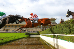 Marvel de Cerisy 2024 @ScoopDyga