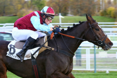 Miss Salsa Blue 2017 @ScoopDyga